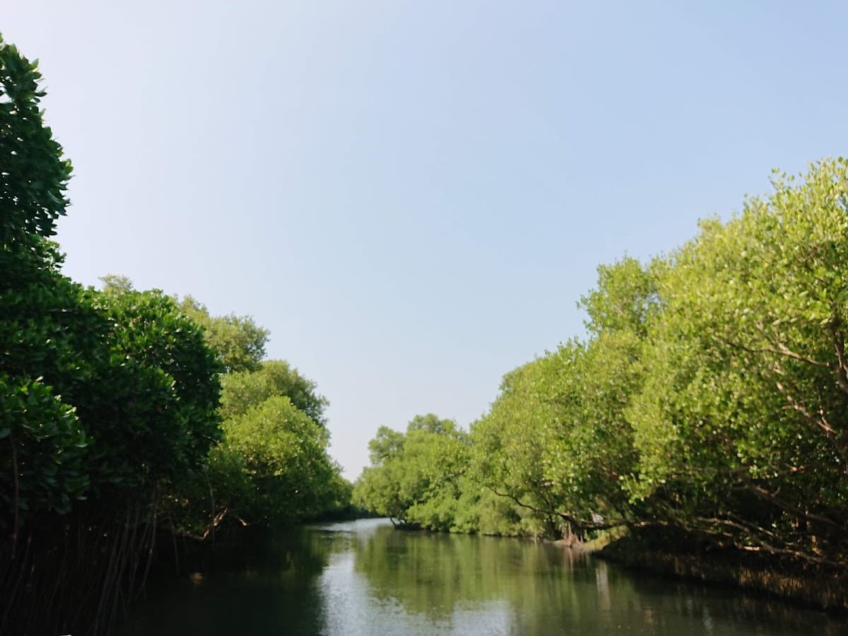 Taijiang National Park