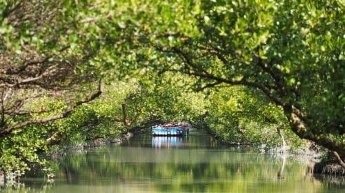 Tainan highlights one-day tour with shared transportation [Depart from Kaohsiung | Guided tour in Chinese/English/Korean]