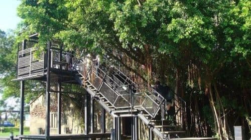 Tainan highlights one-day tour with shared transportation [Depart from Kaohsiung | Guided tour in Chinese/English/Korean]