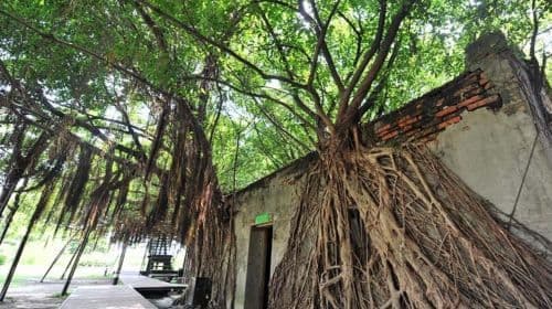 Tainan highlights one-day tour with shared transportation [Depart from Kaohsiung | Guided tour in Chinese/English/Korean]