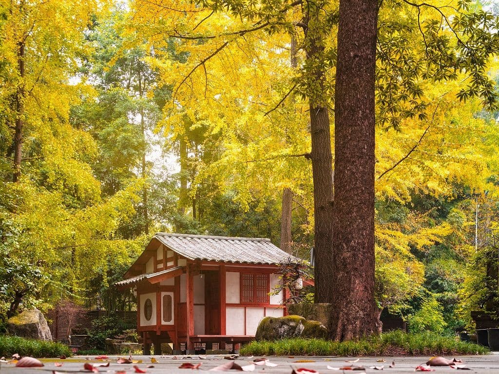 Chengdu Du Fu Thatched Cottage Museum