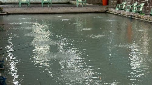 Taipei Palace Museum Tour + Shuangxi River Shrimp Fishing [Chinese/English/Japanese Guided Tour] Day Tours