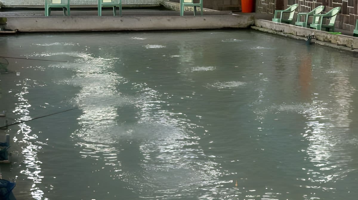 Taipei Palace Museum Tour + Shuangxi River Garnelenangeln [Chinesisch/Englisch/Japanisch geführte Tour] Tagestouren