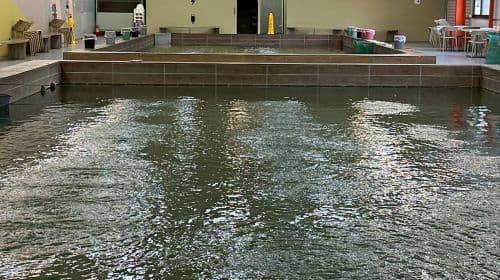 Taipei Palace Museum Tour + Shuangxi River Shrimp Fishing [Chinese/English/Japanese Guided Tour] Day Tours
