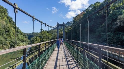 Taipei: Jiufen Night View and Shifen Day Tour Day Tours