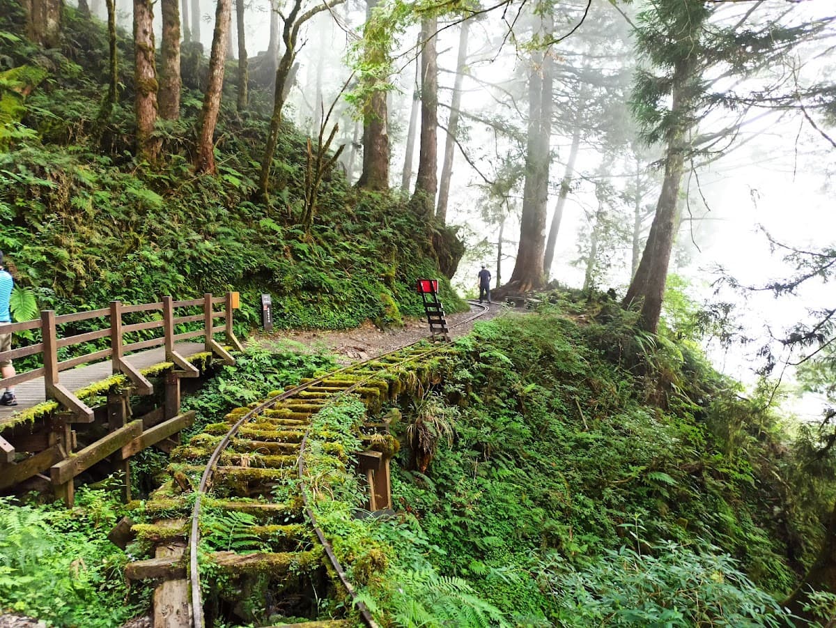 Taipingshan National Forest Recreation Area