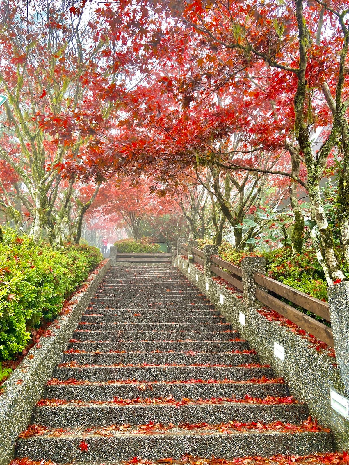 Taipingshan National Forest Recreation Area