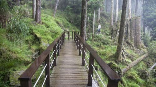 Taipingshan National Forest Recreation Area