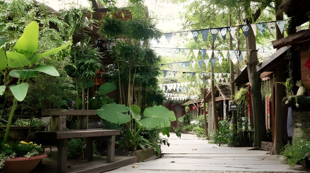 台湾苗栗龙腾断桥 + 胜兴车站 + 卓也小屋一日游