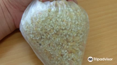 Taiwan Miso Cultural Museum