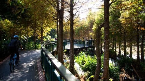 Taiwan Nantou Sun Moon Lake one-day tour[Depart from Taichung City | Sun Moon Lake Sea, Land and Air Experience] Day Tours