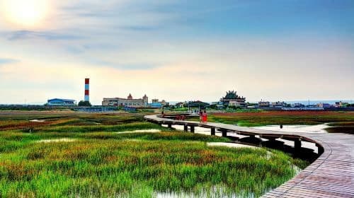 Taiwan Taichung Gaomei Wetland one-day tour[Windmill Silhouette + Wetland Light Chasing] Day Tours