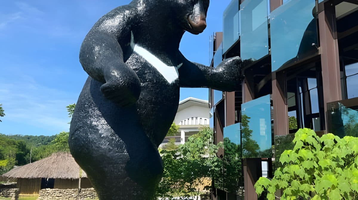 Tsou Veoveoana Cultural and Creative Park