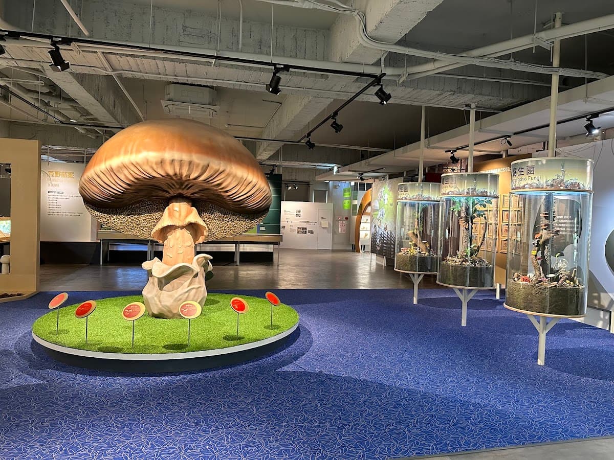 Wufeng Mushroom Museum