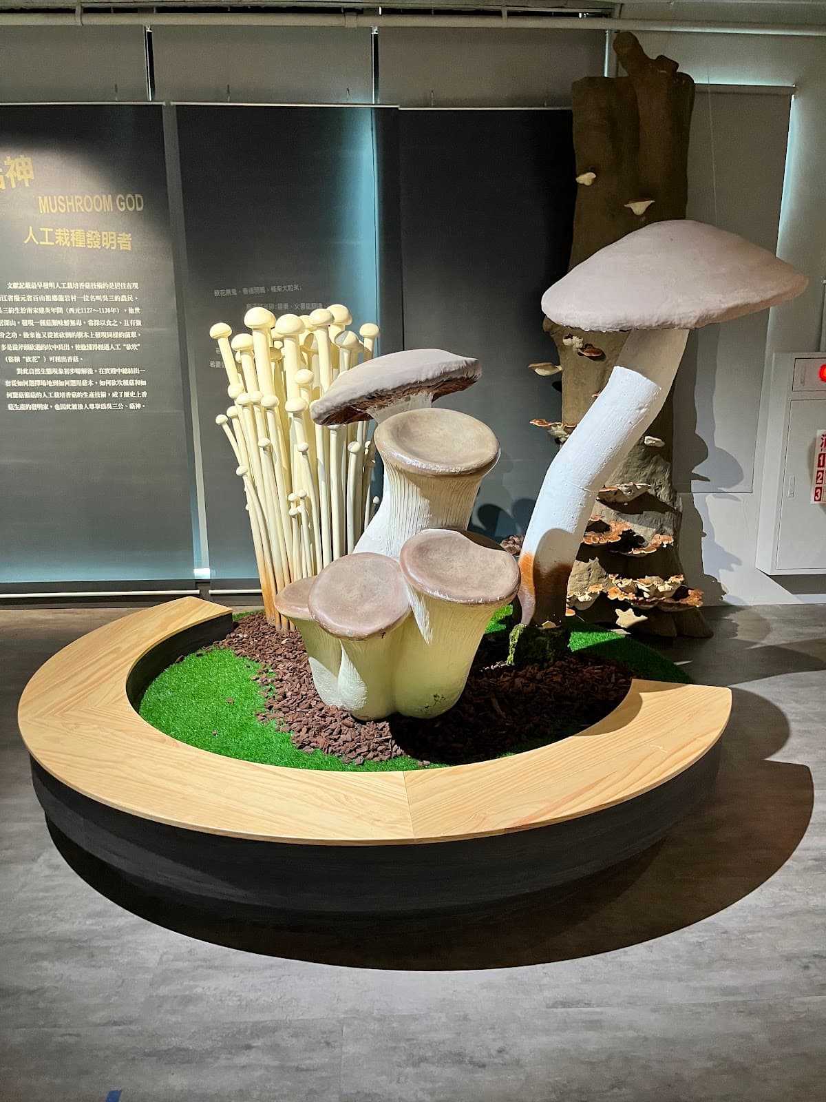Wufeng Mushroom Museum