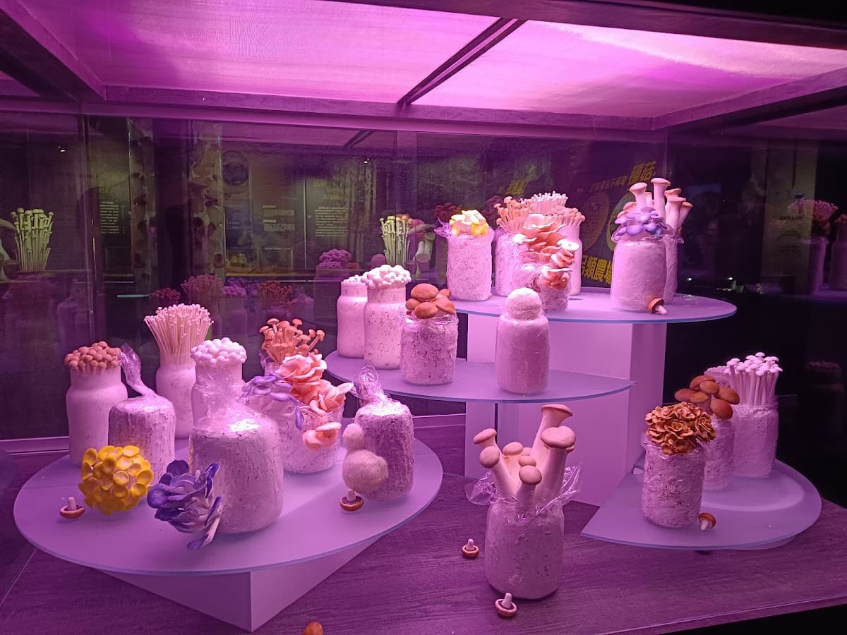 Wufeng Mushroom Museum