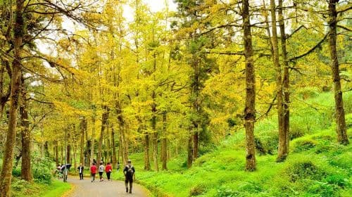 Xitou Nature Education Area