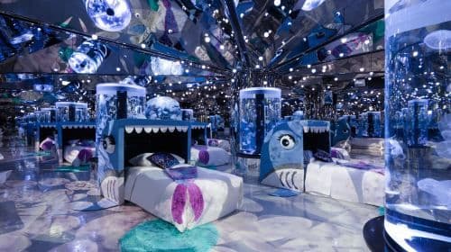 Xpark Overnight Experience | Blu Night Adventure