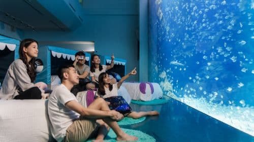 Esperienza Notturna Xpark | Avventura Blu Night