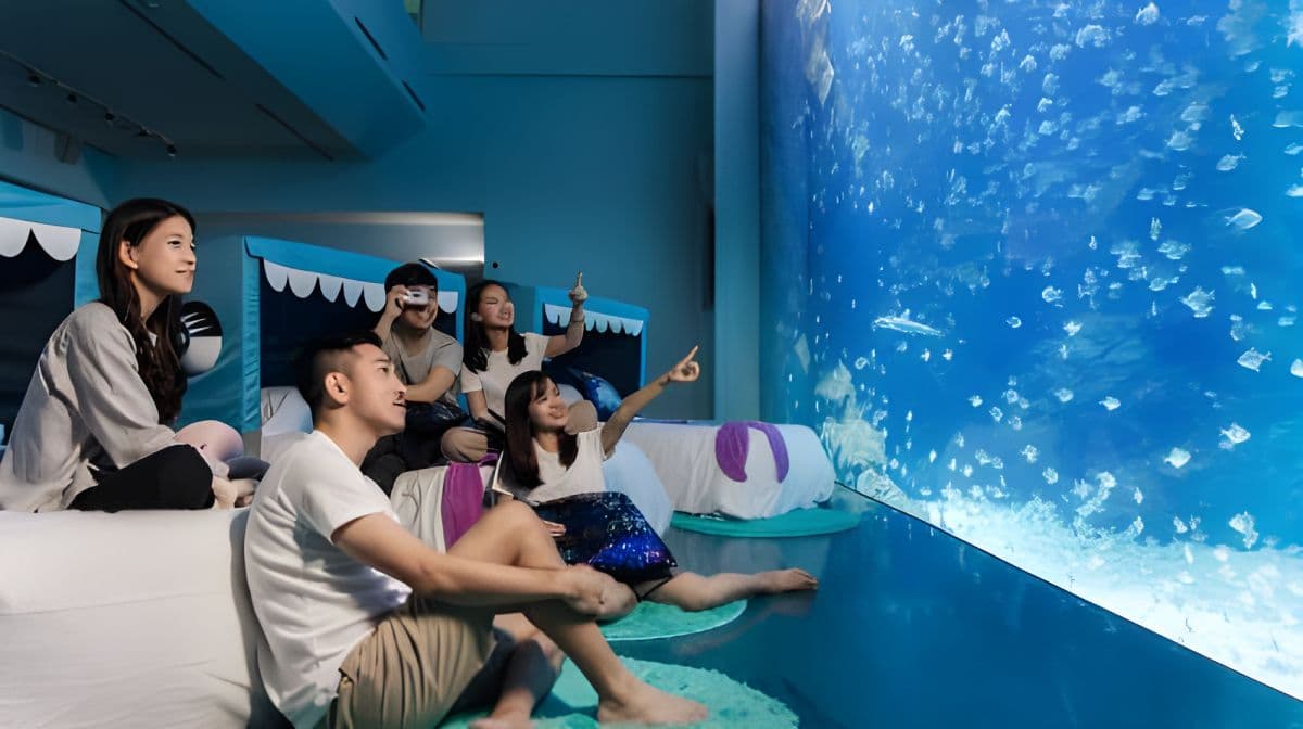 Xpark Overnight Experience | Blu Night Adventure