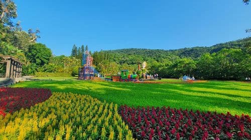 Yangmingshan Xiaoyoukeng + Qingtiangang + Shilin Residence + Martyrs' Shrine one-day tour Day Tours