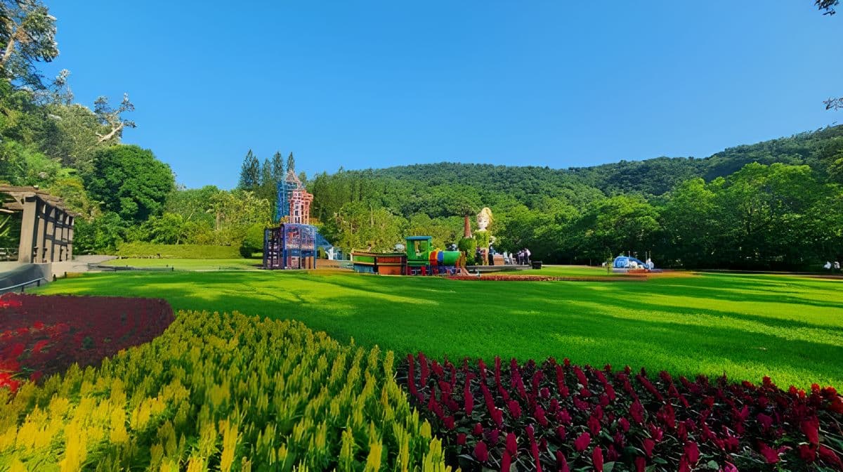 Yangmingshan Xiaoyoukeng + Qingtiangang + Shilin Residence + Martyrs' Shrine one-day tour Day Tours