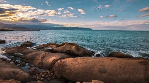 Yehliu Geopark + Shifen Old Street + Jiufen Old Street 1-day tour [8-hour private charter in Taipei] Day Tours