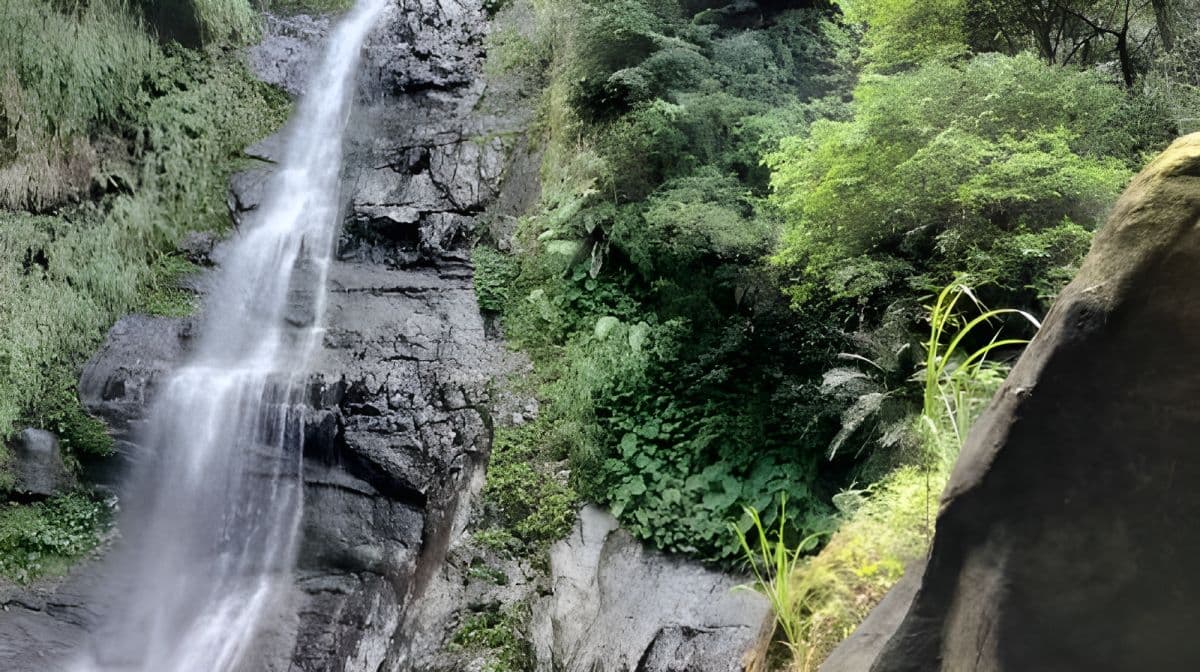 Yilan Klassieke Tour: Zhang Mei Farm & Qingshui Geothermal DIY (Hotel ophaalservice vanuit Taipei) Dagtochten