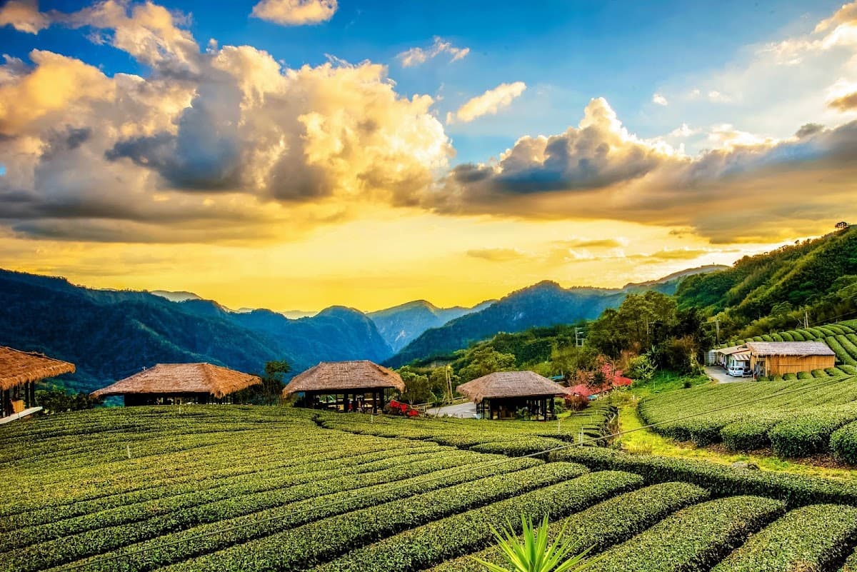 YUYUPAS Cultural Park