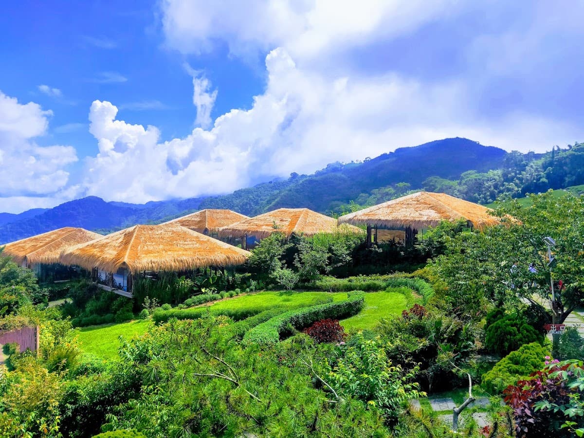 YUYUPAS Cultural Park