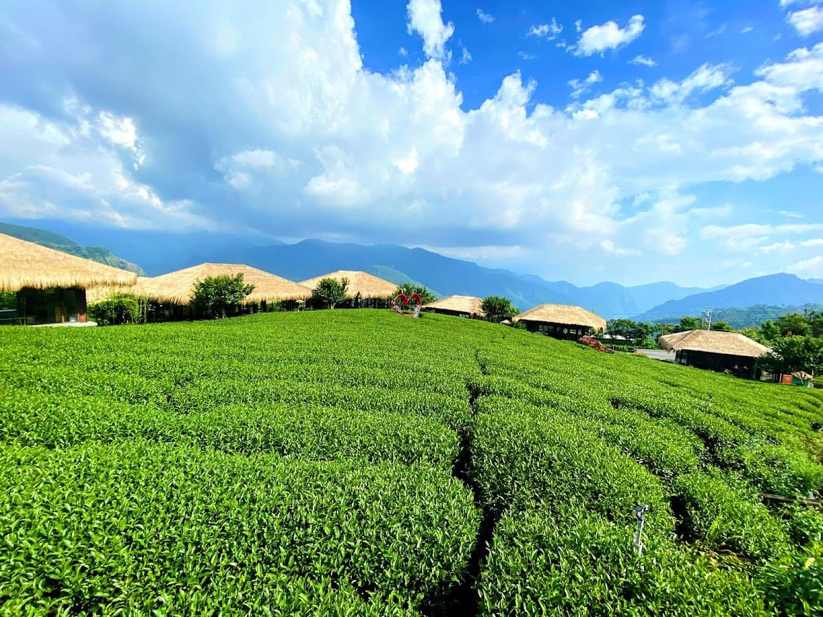 YUYUPAS Cultural Park