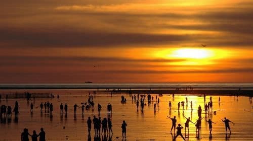 Zhongshe Flower Market + Gaomei Wetland one-day tour Day Tours
