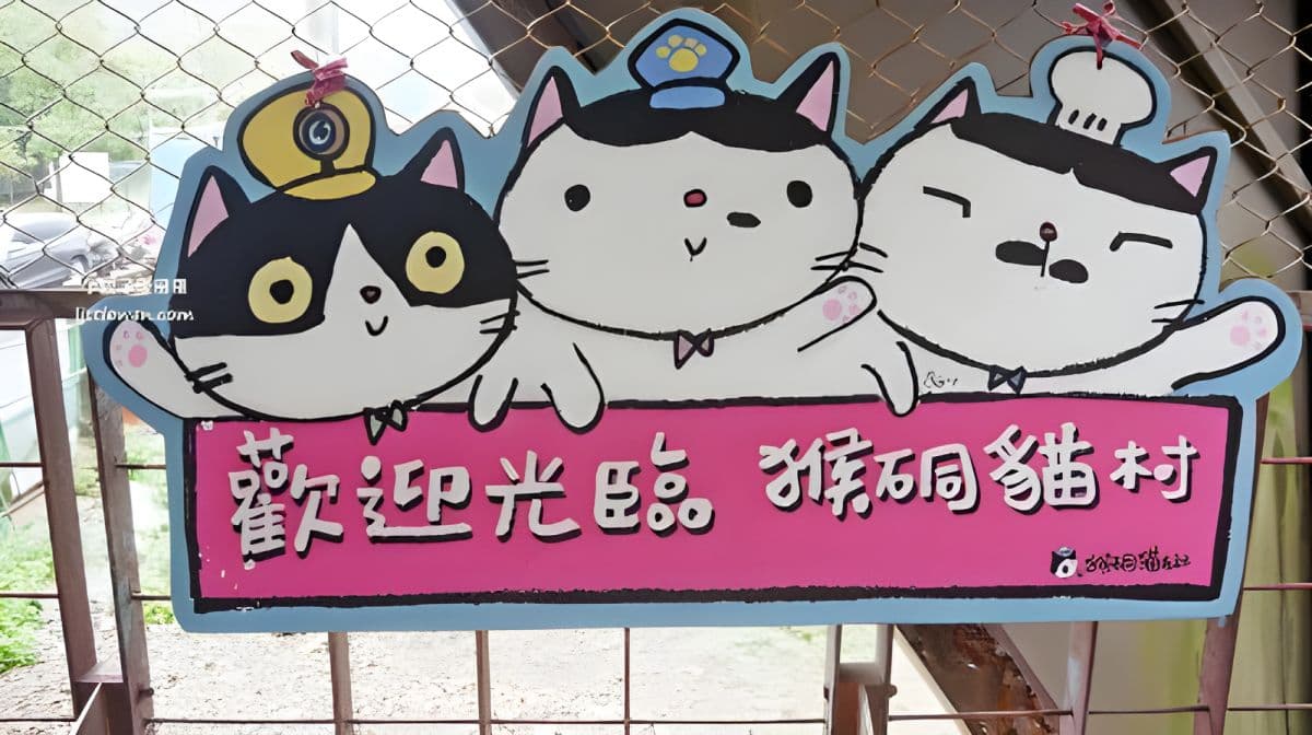 [穆斯林友好] 私人包车。猴硐猫村。十分天灯体验。十分瀑布] 一日游