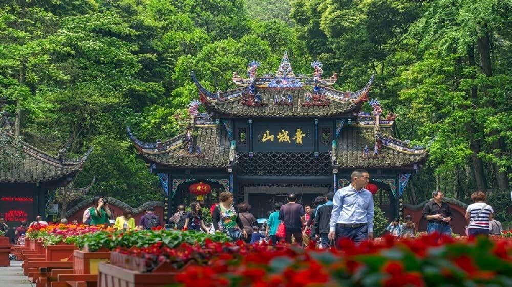 1-Day Tour: Dujiangyan and Qingcheng Mountain in SiChuan With Blue Tears Option