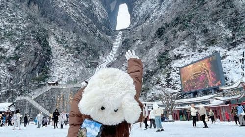 1-on-1 live guided tour in Zhangjiajie|Certified guide|Full Accompanying Service|Zhangjiajie Private Tour Guide (Chinese/English/Korean/Road Trip): Zhangjiajie Forest Park + Tianmen Mountain Day Tours