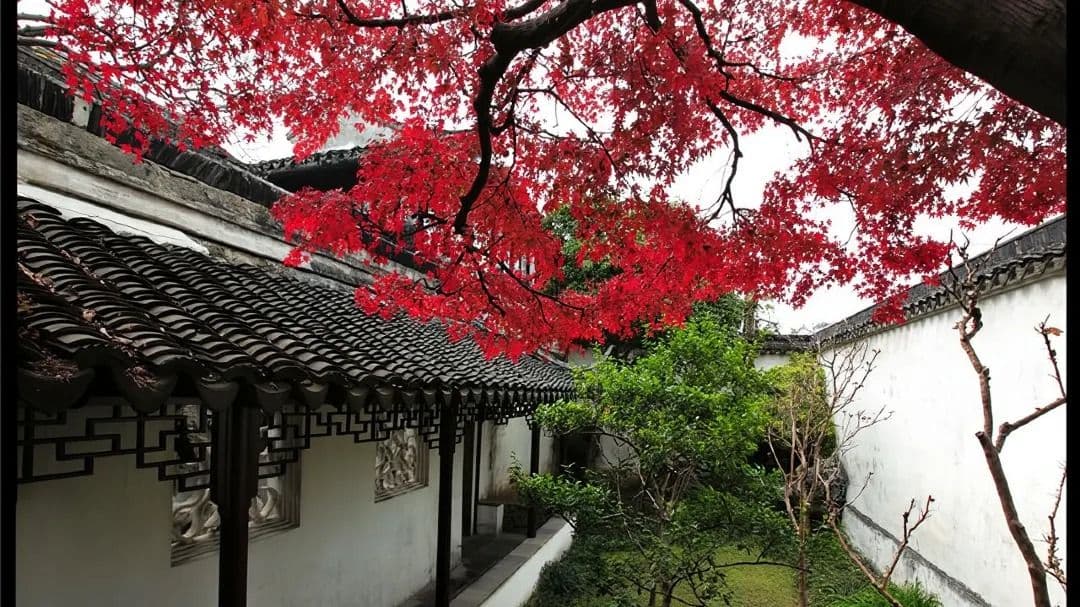 A one-day tour of Suzhou city highlights | Humble Administrator's Garden, Tiger Hill, Lion Grove Garden, Hanshan Temple