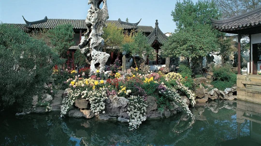 A one-day tour of Suzhou city highlights | Humble Administrator's Garden, Tiger Hill, Lion Grove Garden, Hanshan Temple