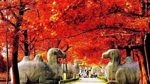 All Inclusive Nanjing City Private Day Tour with Tailor-Made Highlights