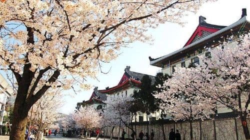 Tour privato all-inclusive della città di Nanjing con punti salienti su misura