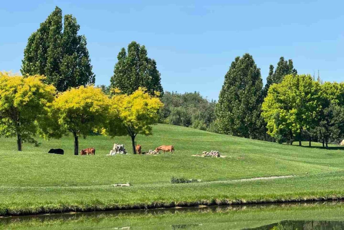 Beijing Wildlife Park Tickets