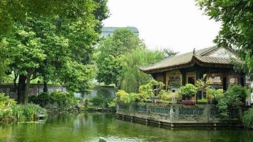Bruce Lee Hometown Martial Art Culture Lion Dance Private Tour