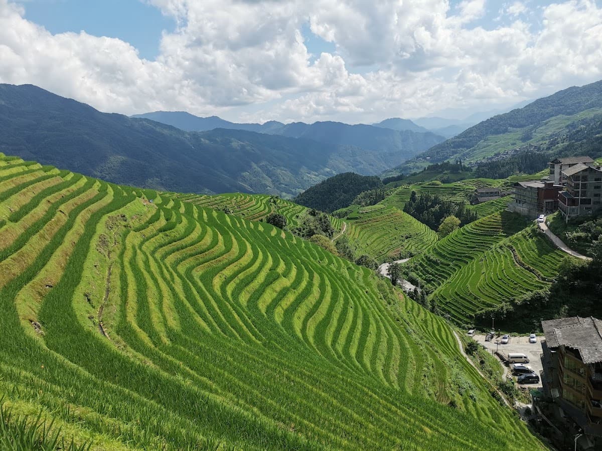 Longji Rice Terraces