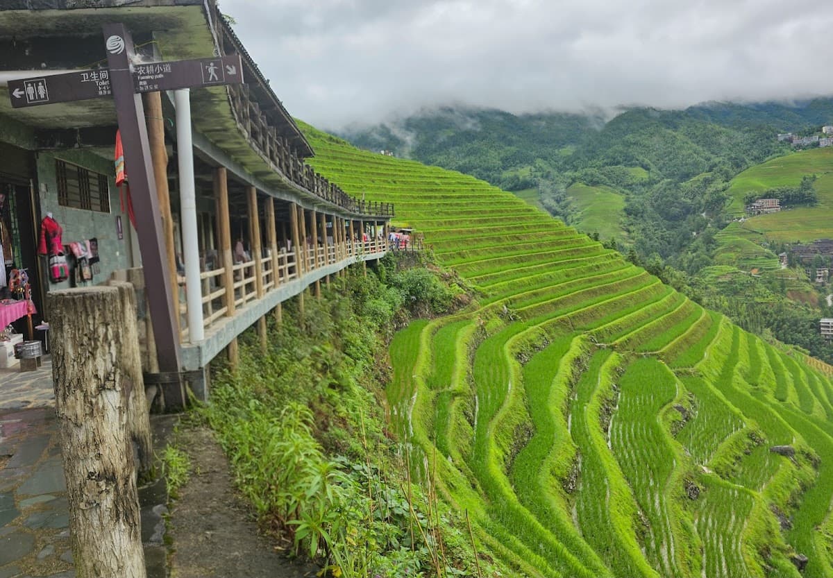 Longji Rice Terraces