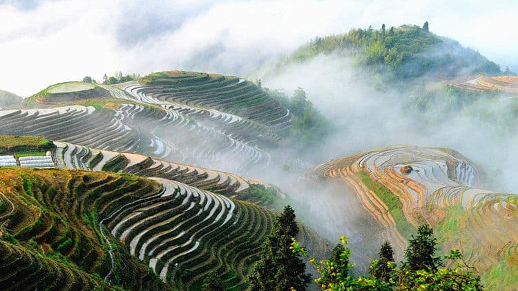 Longji Rice Terraces