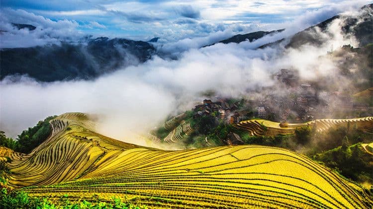 Longji Rice Terraces