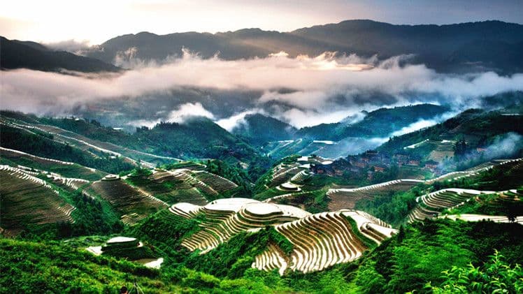 Longji Rice Terraces