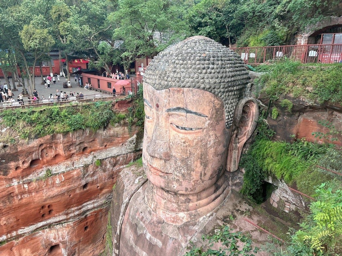 Chengdu Panda Park and Leshan Giant Buddha Daily Bus Tour with Tickets by CITS × ZANBUS