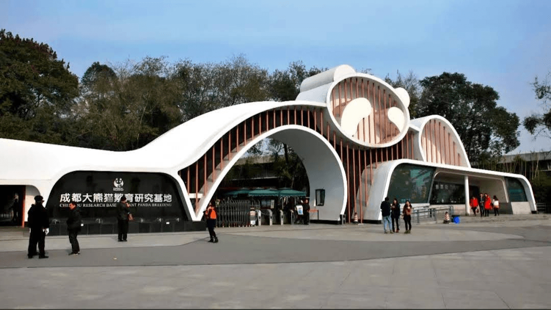 Chengdu Research Base of Giant Panda Breeding + Leshan Giant Buddha 1-day tour