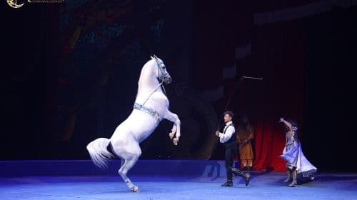 Chimelong Show Hengqin Zhuhai