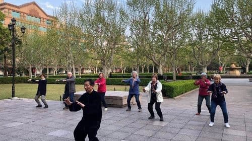 Full-Day Old Shanghai City Lifestyle and Culture Private Tour with Lunch